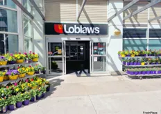 Loblaws is Canada's largest food distributor and supermarket chain with stores located in the province of Ontario, and in Alberta and British Columbia. 